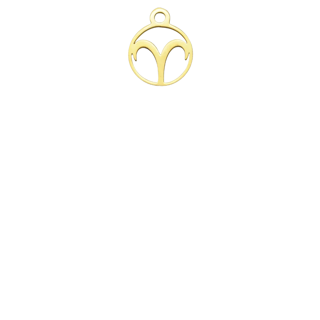 DYOJ Charms | ZODIAC
